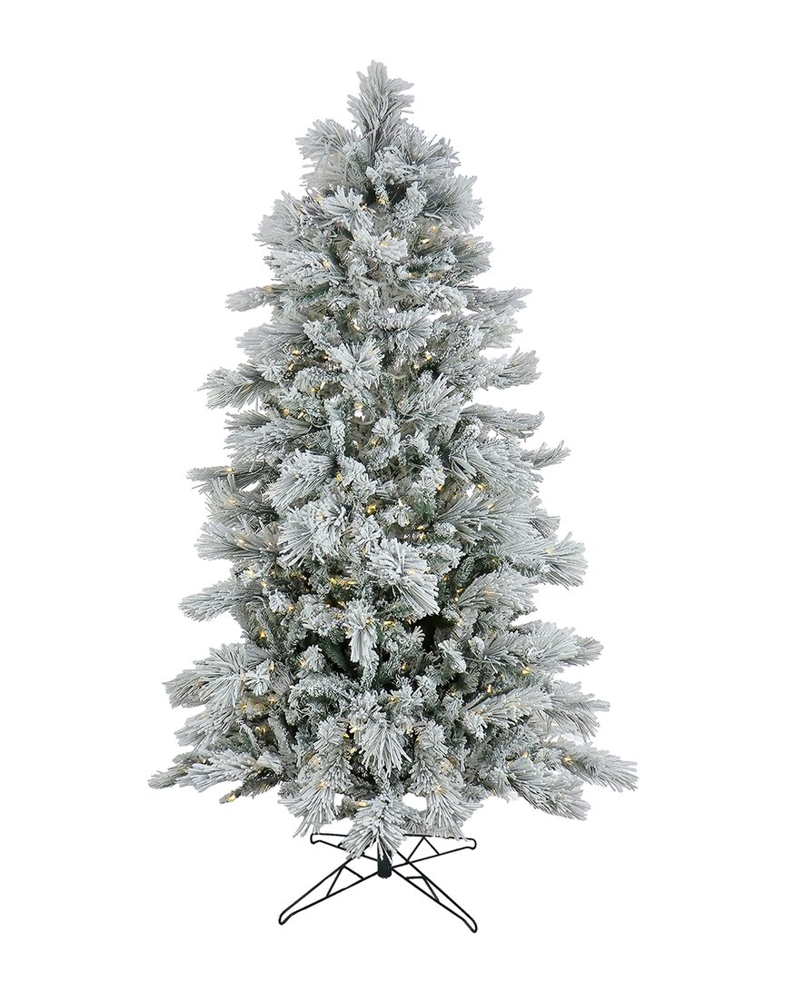 Shop Hgtv National Tree Company  7.5ft Slim Flocked Bavarian Pine Tree With Led  Lights In Green