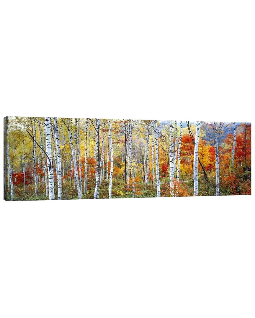 Icanvas Fall Trees, Shinhodaka, Gifu, Japan By Panoramic Images Wall Art
