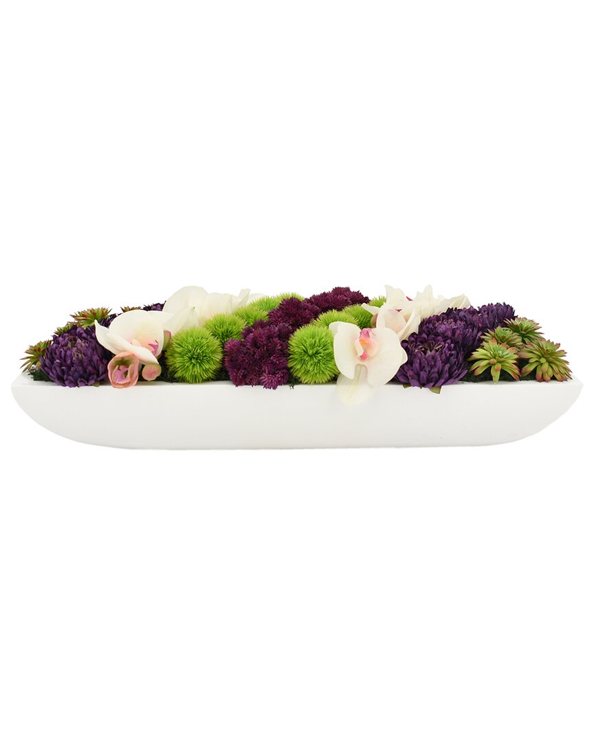 Creative Displays Orchid, Cactus & Sedum Arrangement In Planter In White