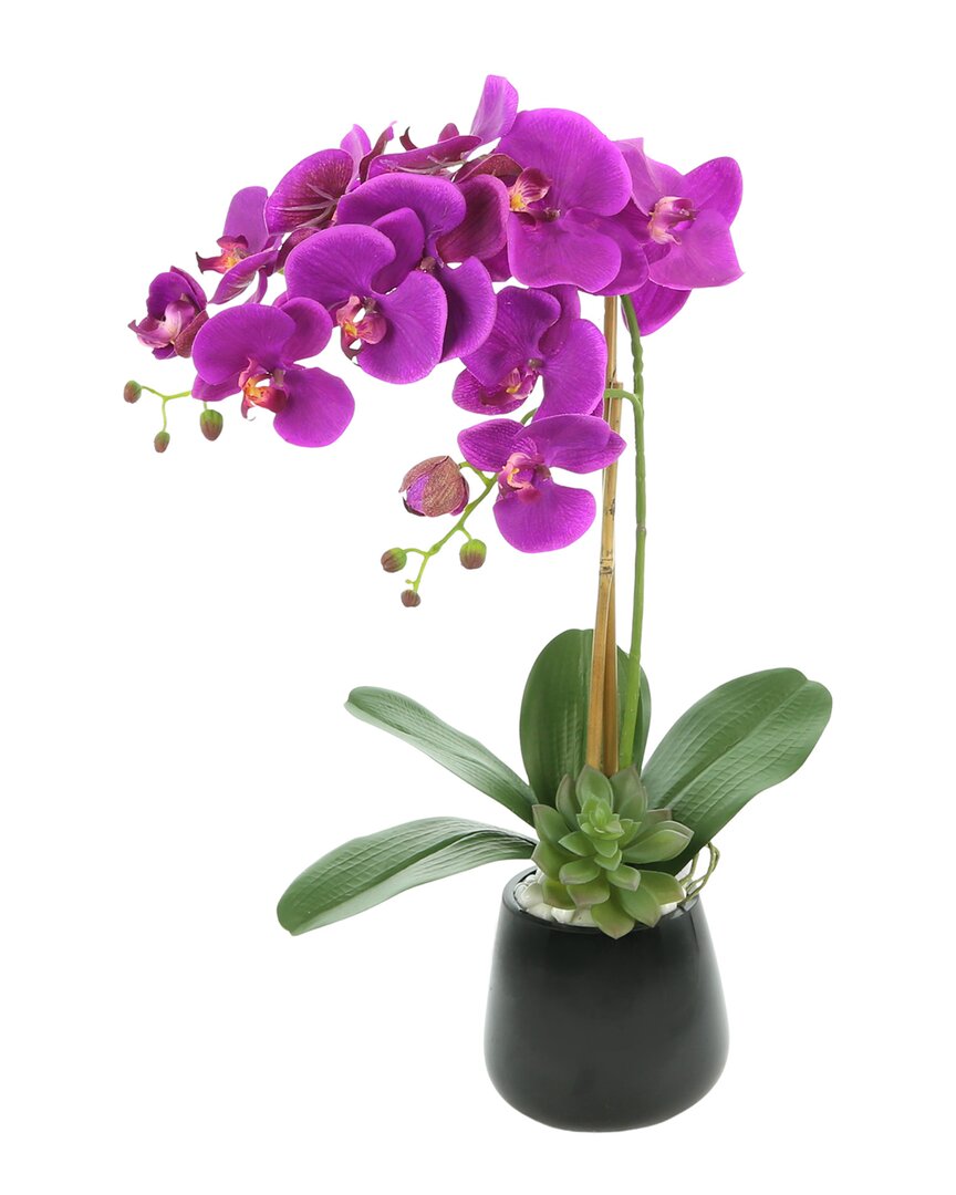 Creative Displays Purple Orchid Floral Arrangement