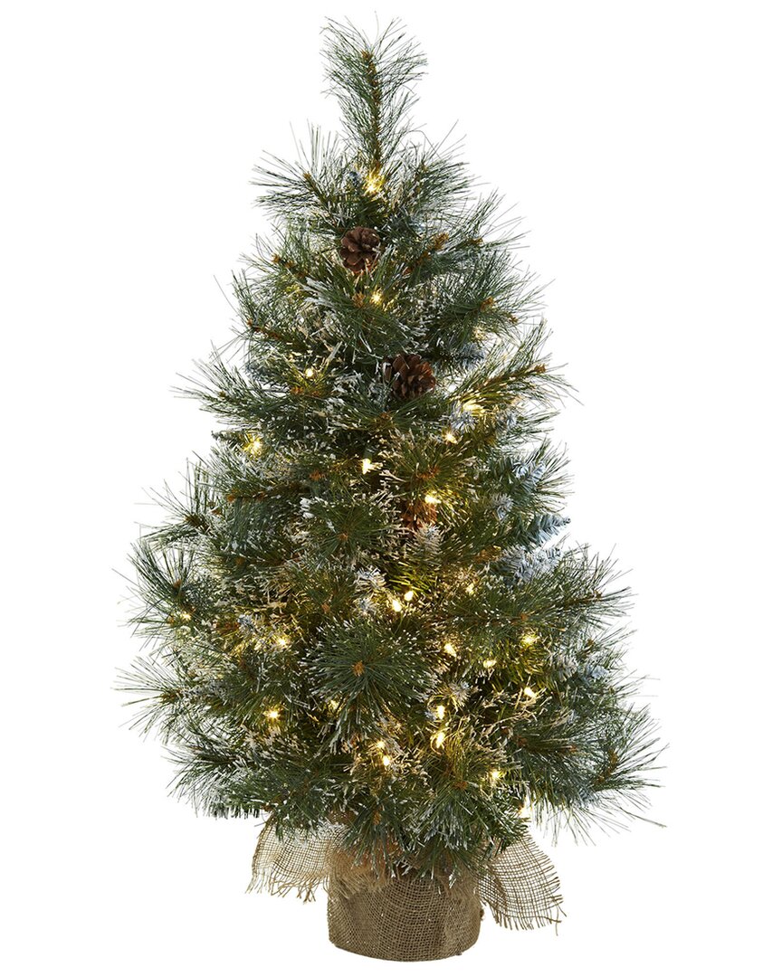 Nearly Natural 3ft Christmas Tree With Clear Lights & Frosted Tips In Green
