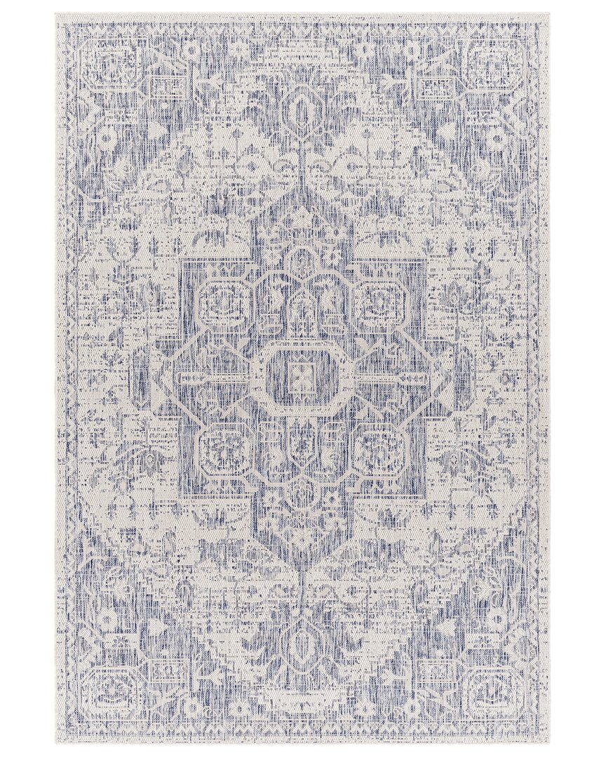 Surya Tuareg Traditional Indoor/outdoor Rug In Blue