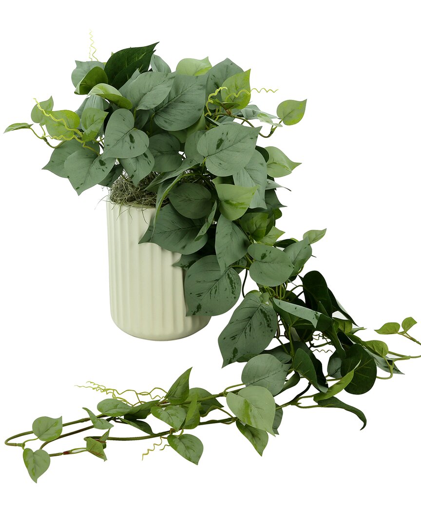 Shop Creative Displays Frosted Ivy In Ceramic Vase In Green