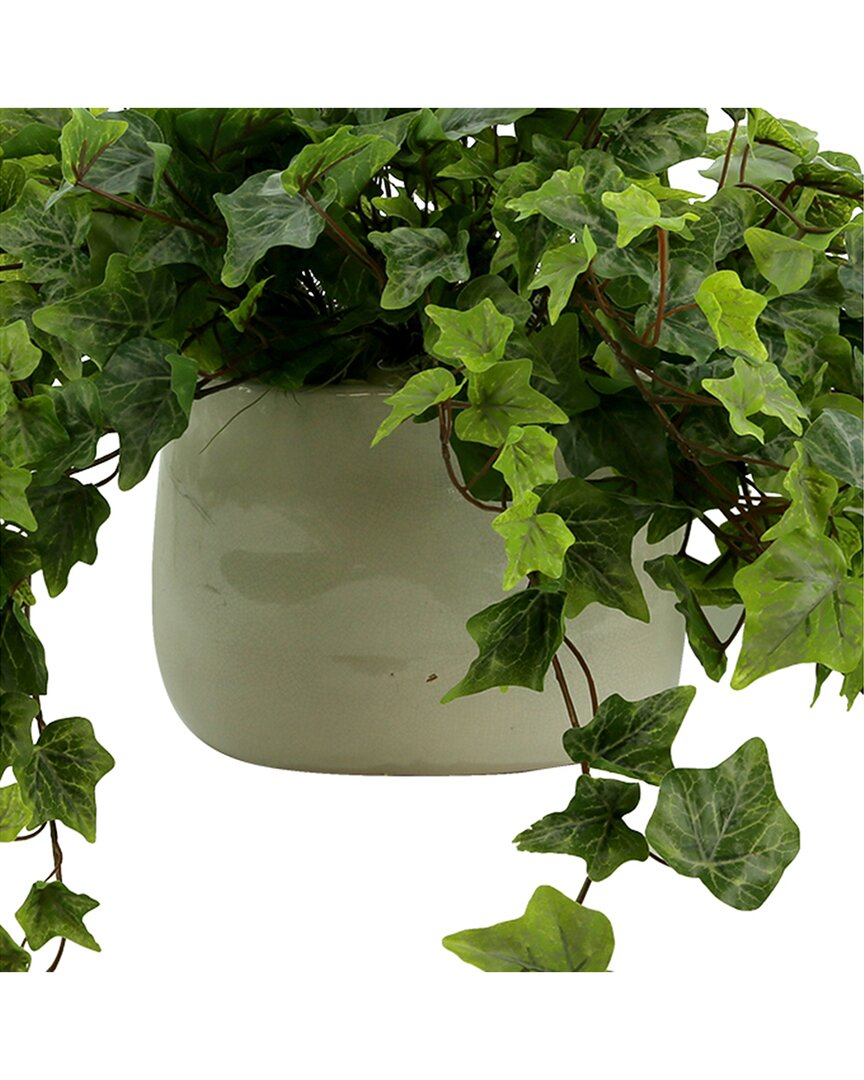 Shop Creative Displays Decorative Ivy Arrangement In Ceramic Pot In Green