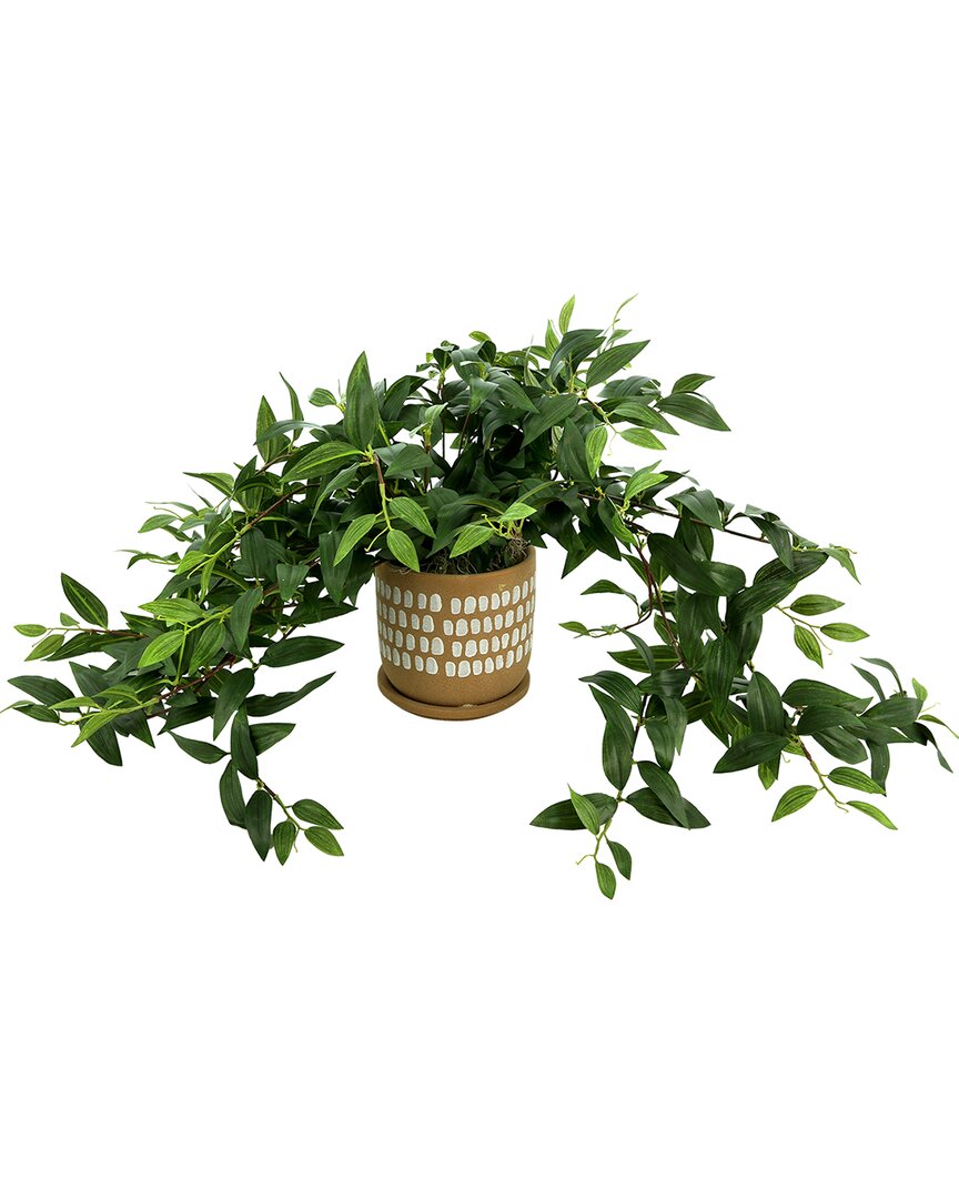 Shop Creative Displays Ivy In Decorative Pot In Green