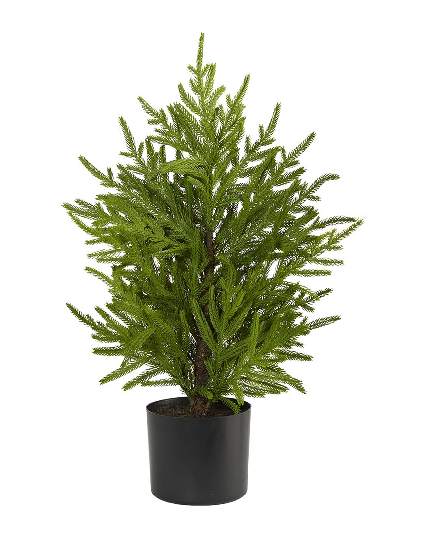 Nearly Natural 2ft Norfolk Island Pine Natural Look Artificial Tree In Green