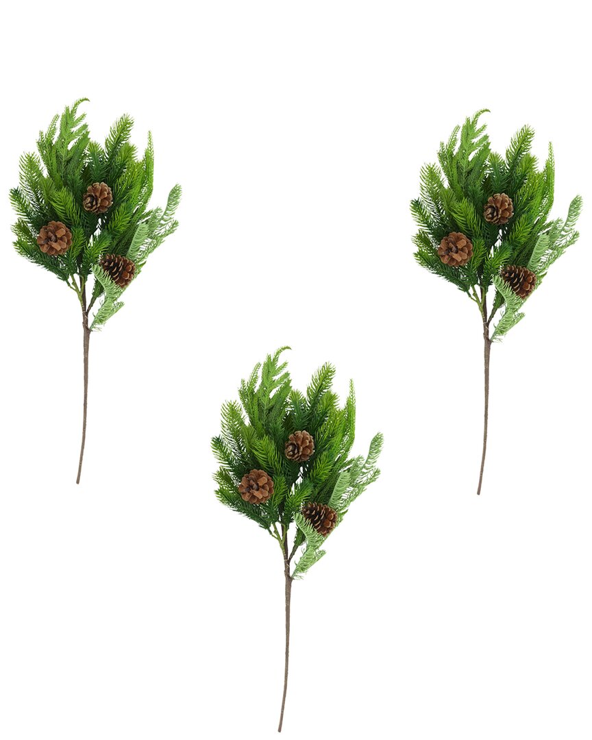 Creative Displays Set Of 3 Norfolk Spruce Juniper Spray In Green
