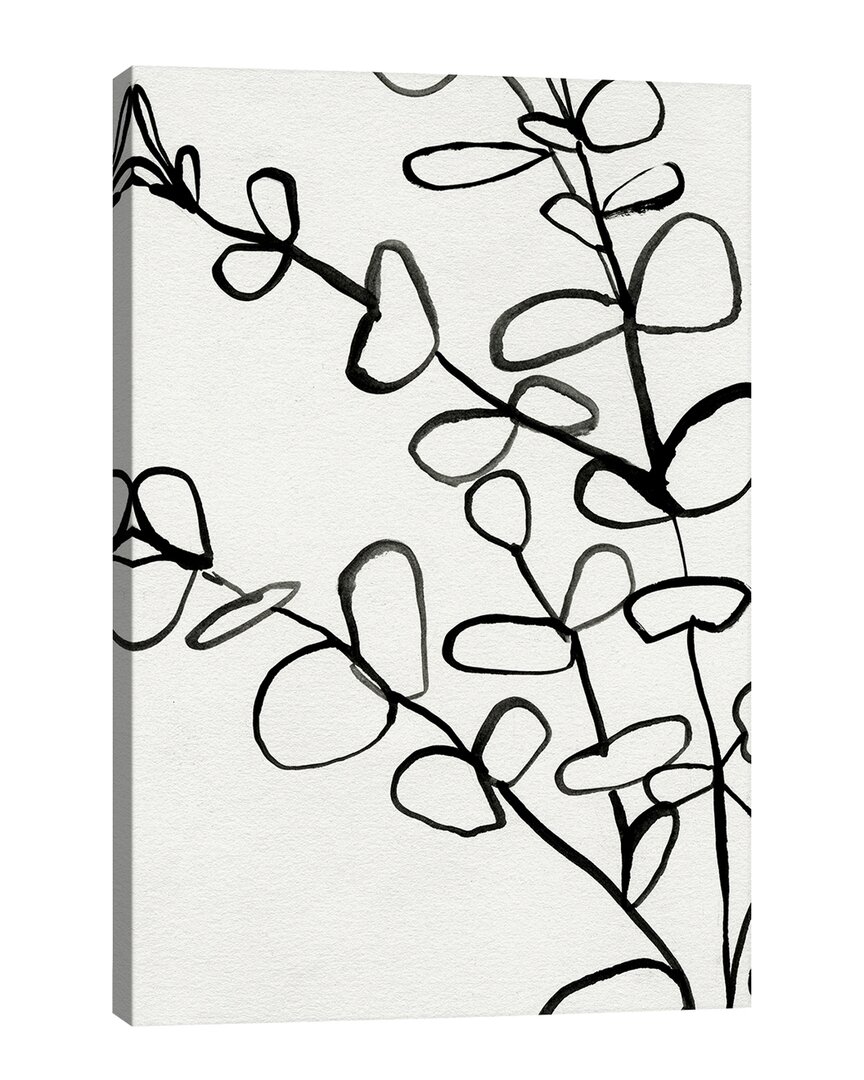 Icanvas Sprig Contour I By Victoria Barnes Wall Art
