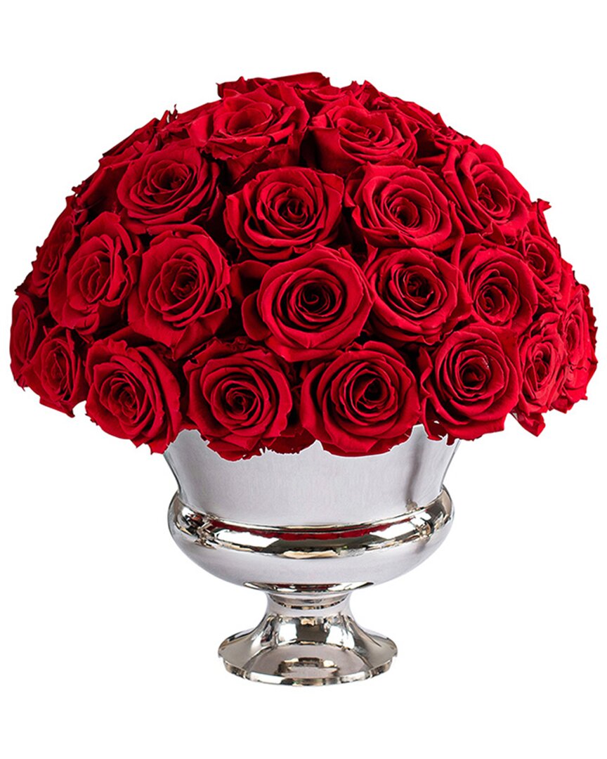 Rose Box Nyc Luxury Premium Half Ball Of 55 Roses