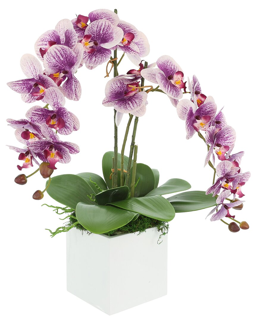 Creative Displays Contemporary Purple Orchid Arrangement In Square Fiberstone Pot In Purple