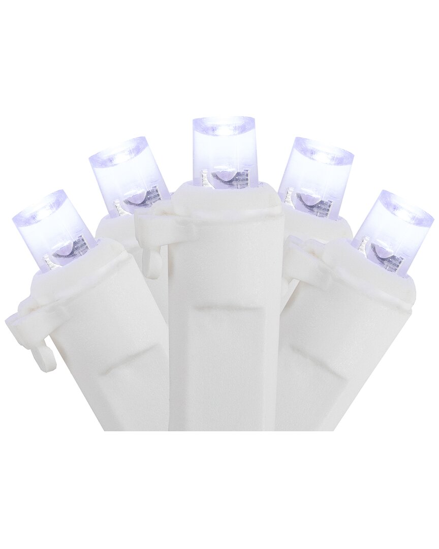 Shop Northlight 100ct Pure White Led Wide Angle Christmas Icicle Lights