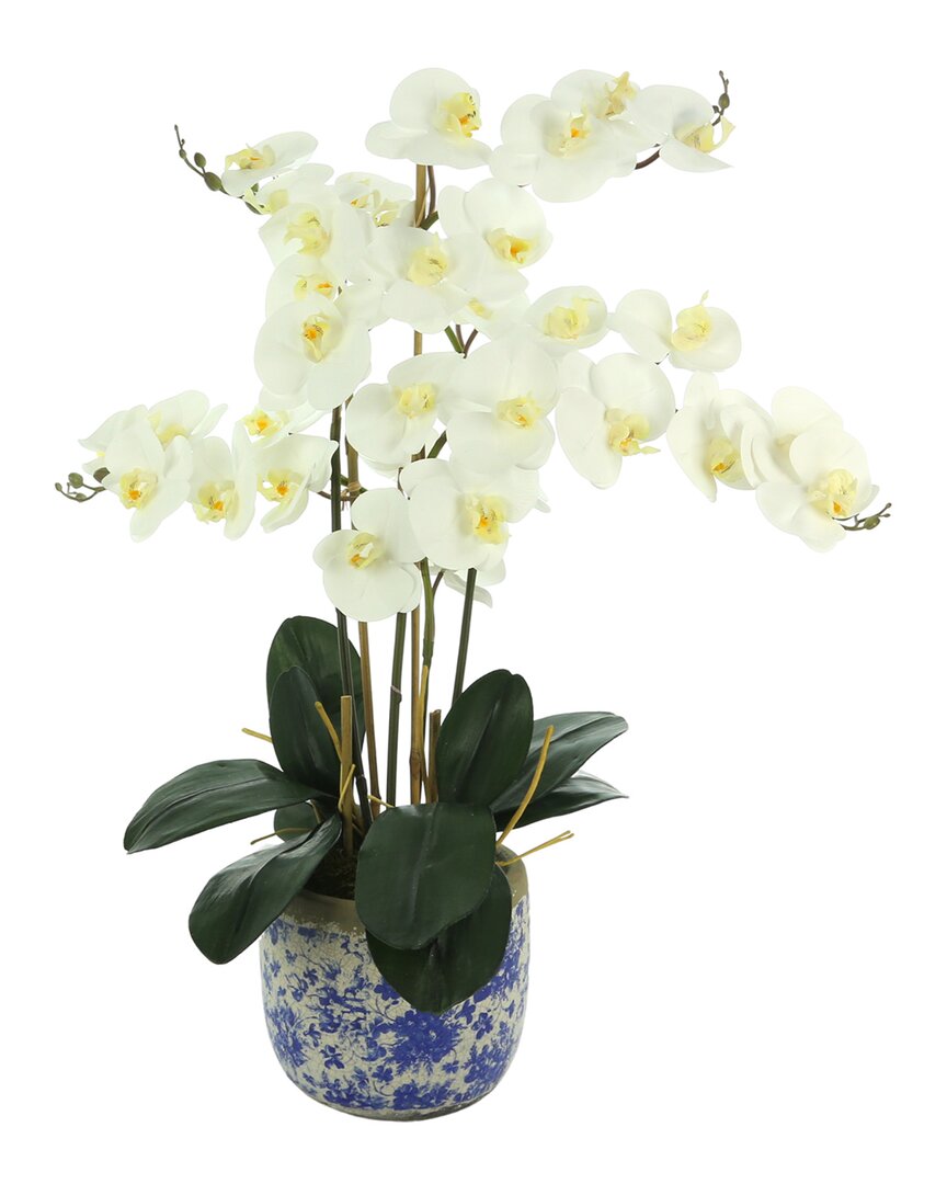 Creative Displays White Orchids Floral Arrangement