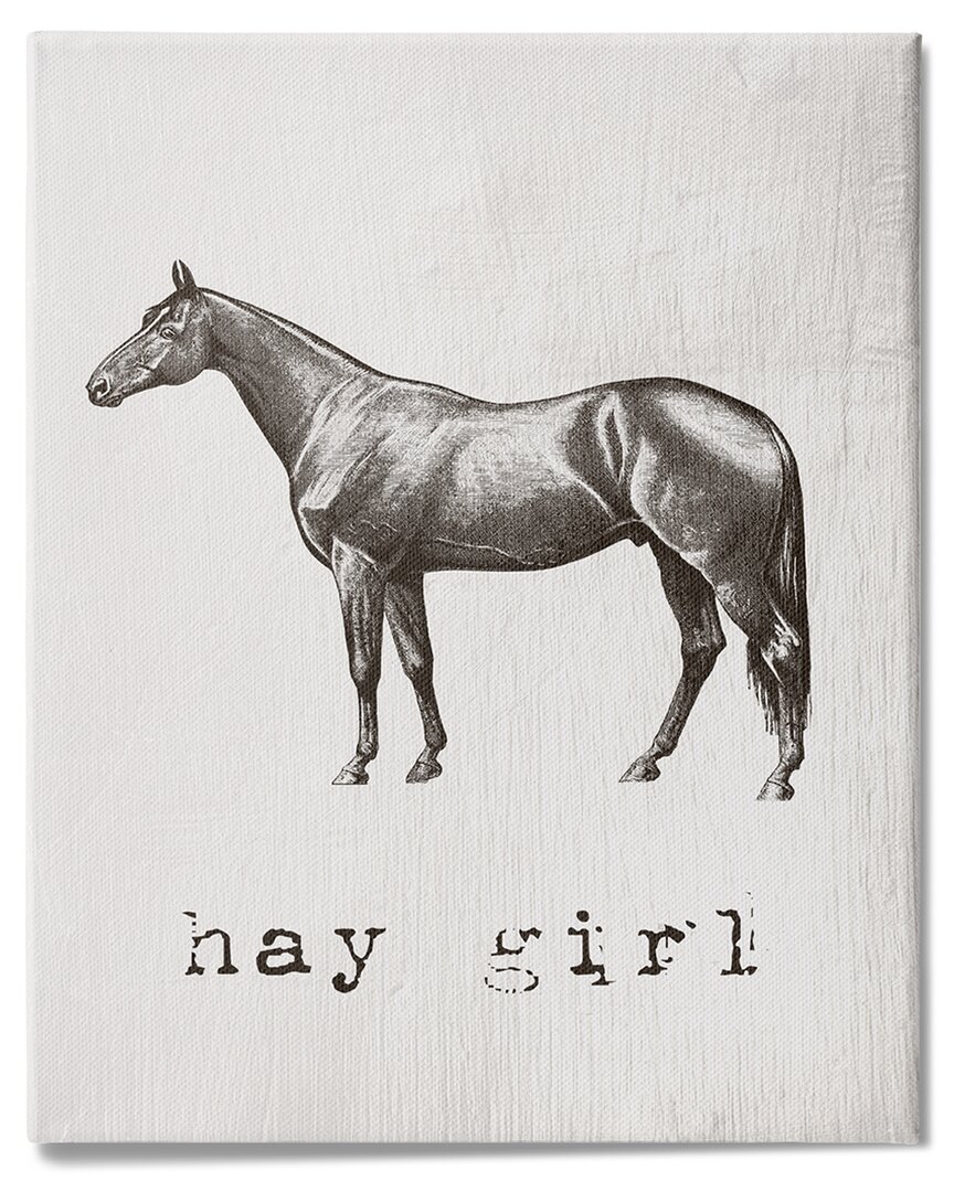 Stupell Industries Hay Girl Funny Horse Pun Vintage Equestrian Portrait Stretched Canvas Wall Art By Daphne In Off-white