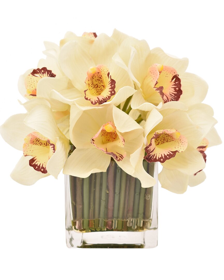 Creative Displays White & Burgundy Orchid Floral Arrangement In Multi