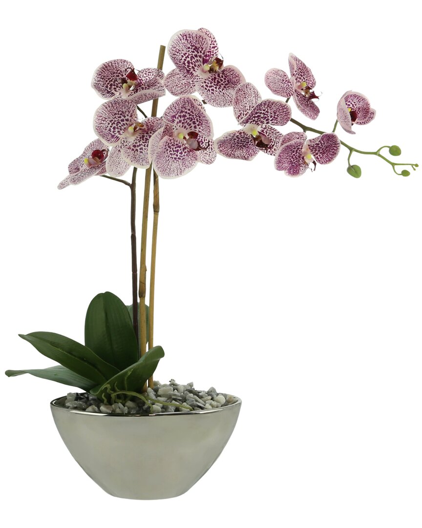 Creative Displays Light Purple Orchid Floral Arrangement In Multi
