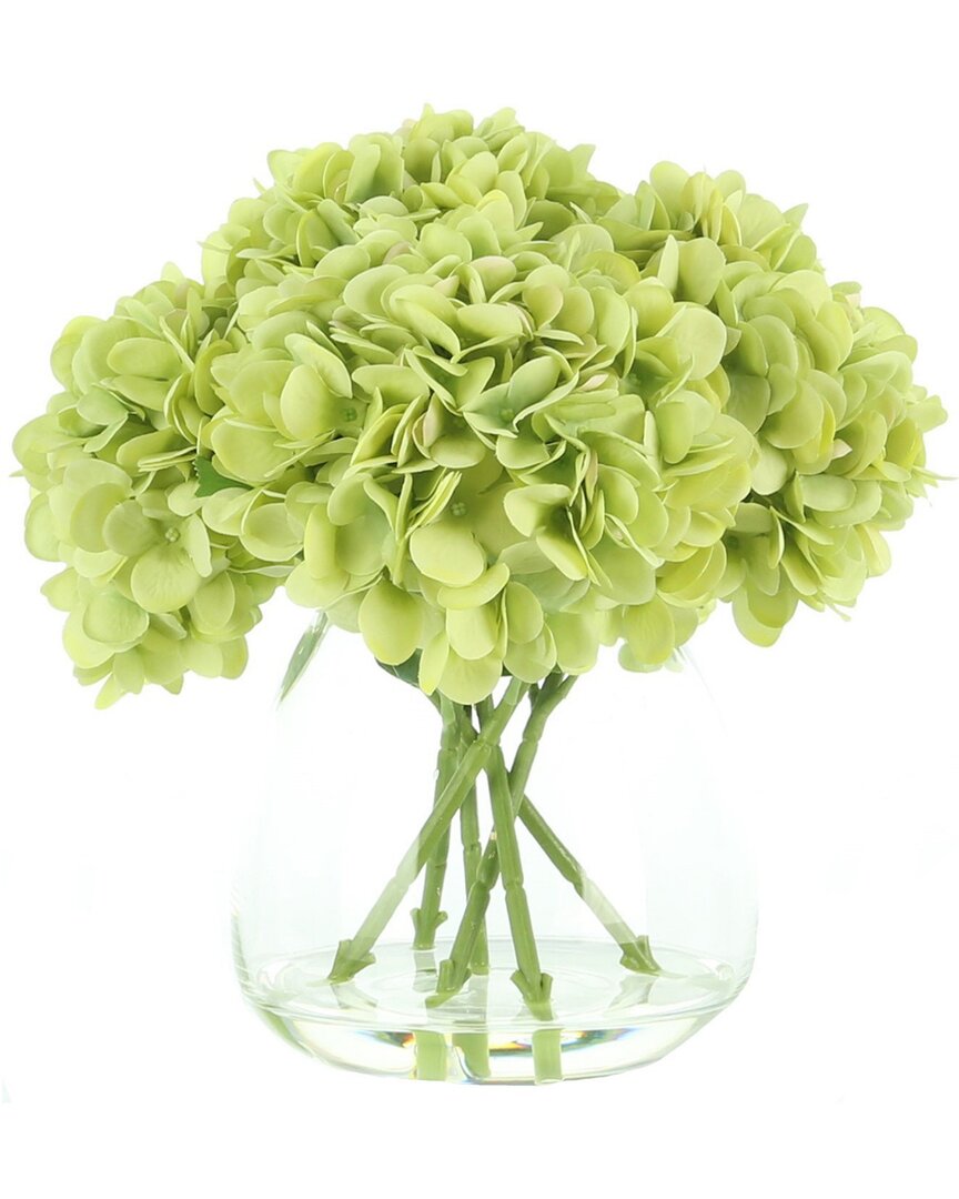 Creative Displays Green Hydrangea In Acrylic Water