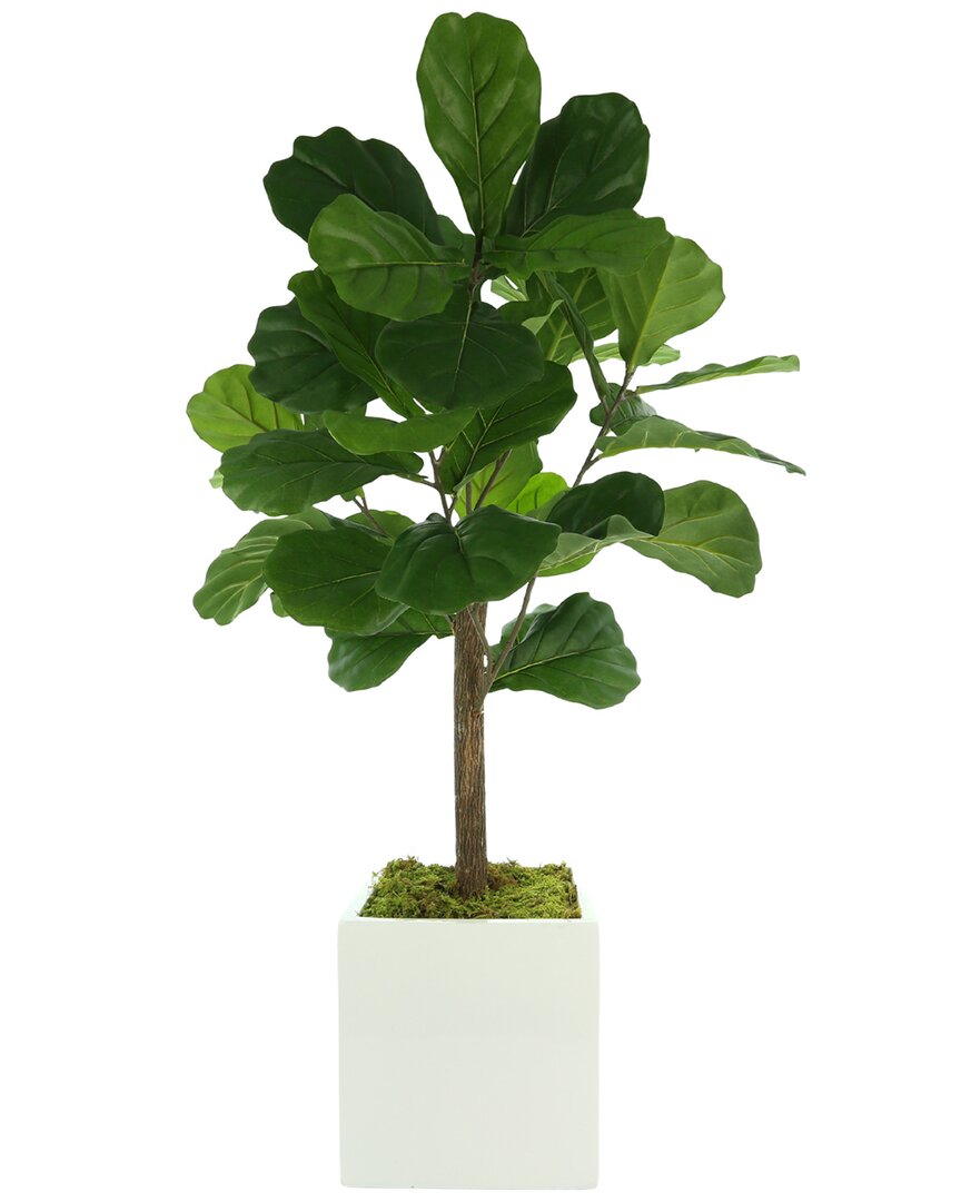 Creative Displays Fiddle Leaf Tree In A White Square Pot In Green