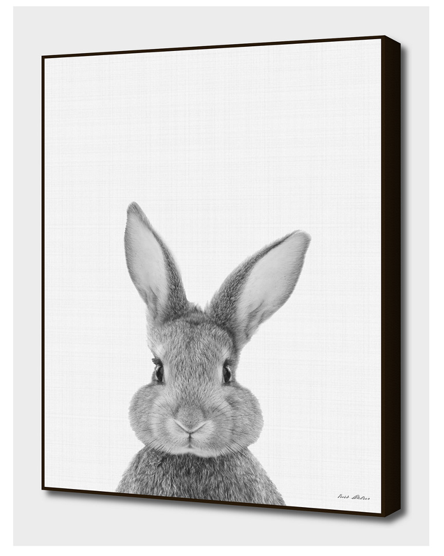 Curioos Rabbit Portrait By Vivid Atelier