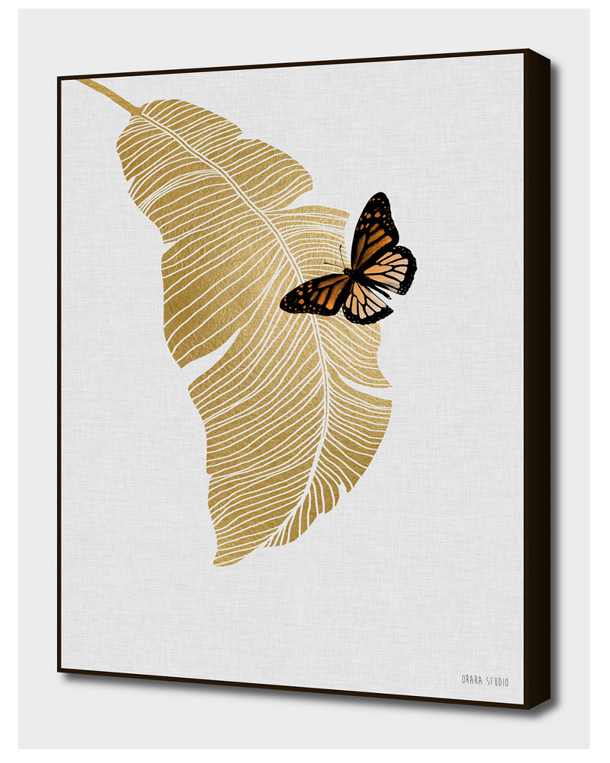 Curioos Butterfly & Palm By Orara Studio