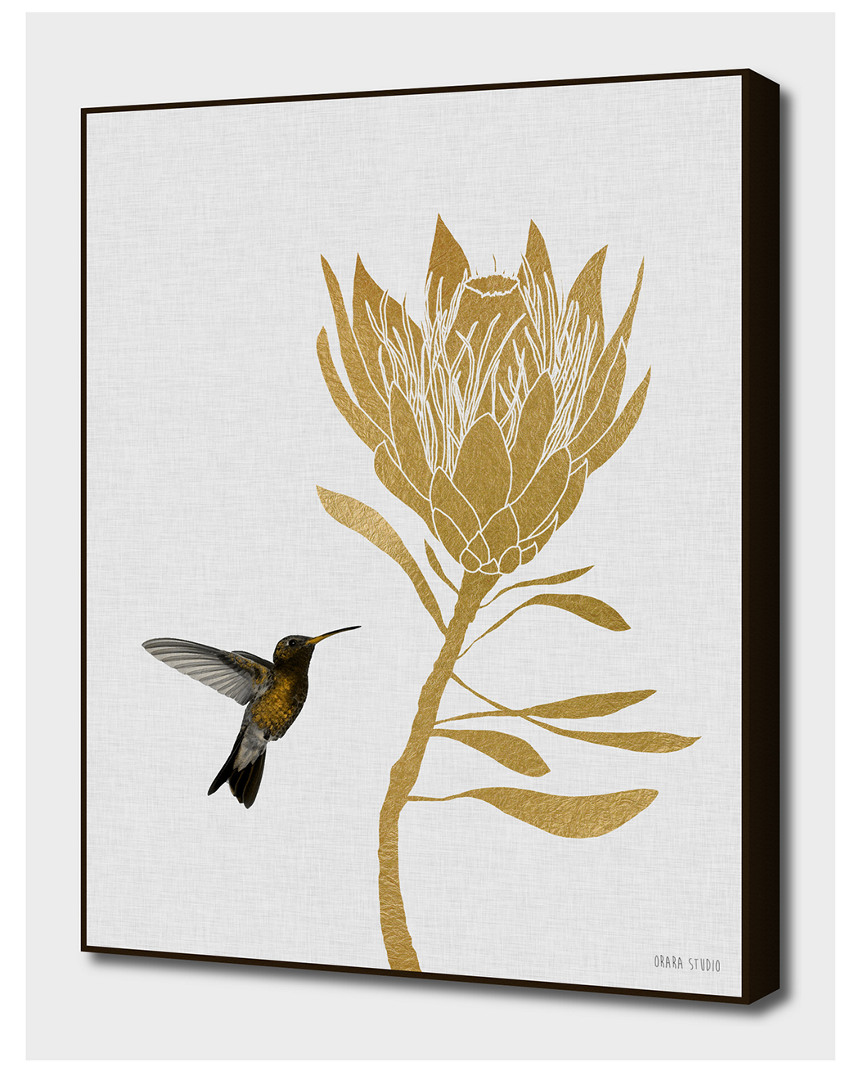 Curioos Hummingbird & Flower I By Orara Studio