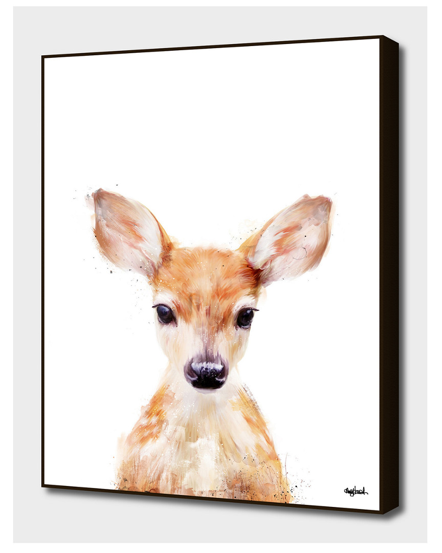 Curioos Little Deer By Amy Hamilton