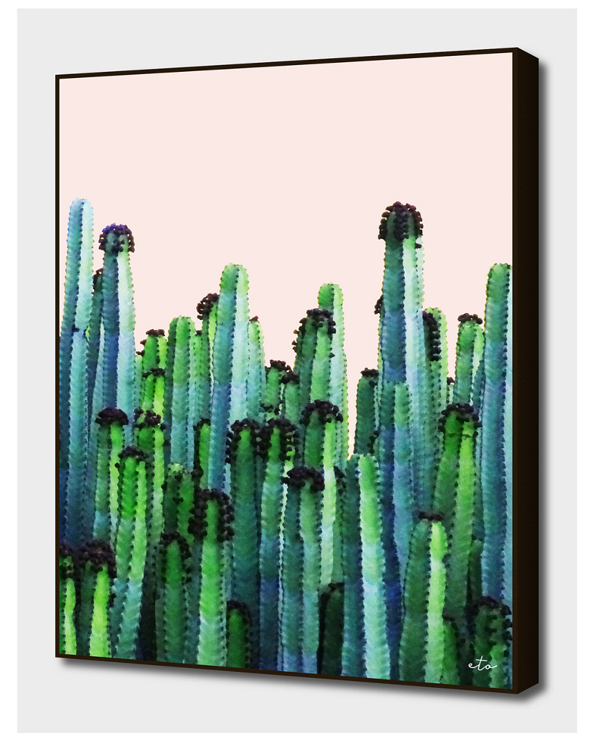 Curioos Cactus V5 By Uma Gokhale