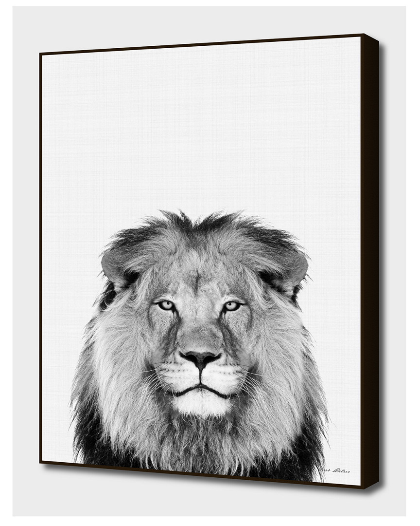 Curioos Lion Portrait By Vivid Atelier