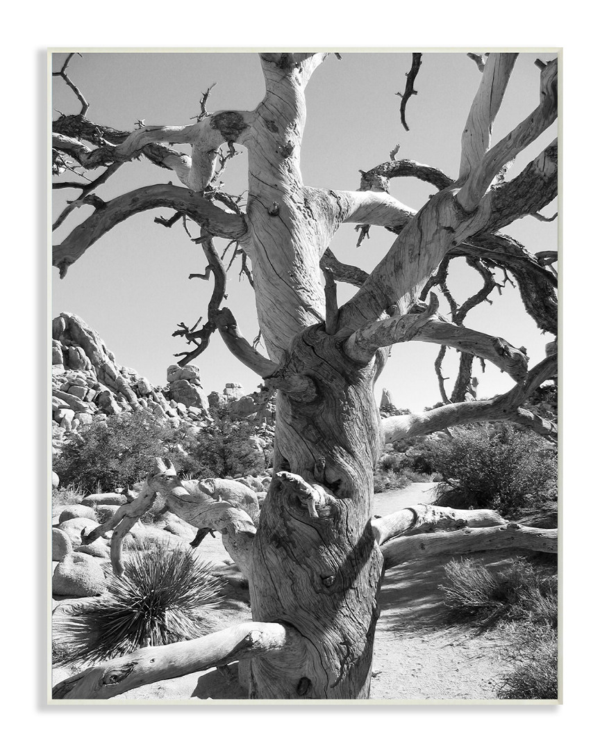 Stupell Desert Tree Photograohy By In House Art