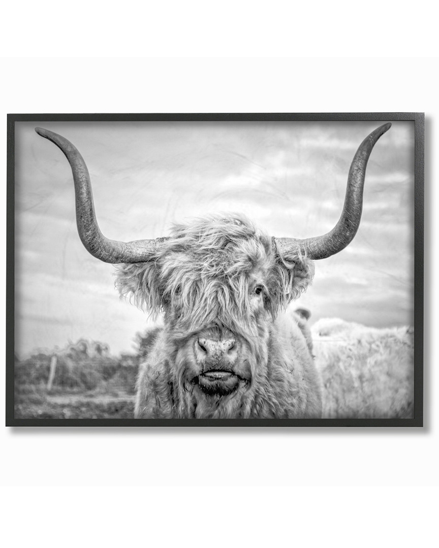 Stupell Black And White Highland Cow Photograph By Joe Reynolds Framed Art