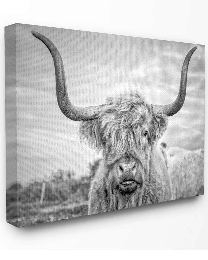 Stupell Black And White Highland Cow Photograph