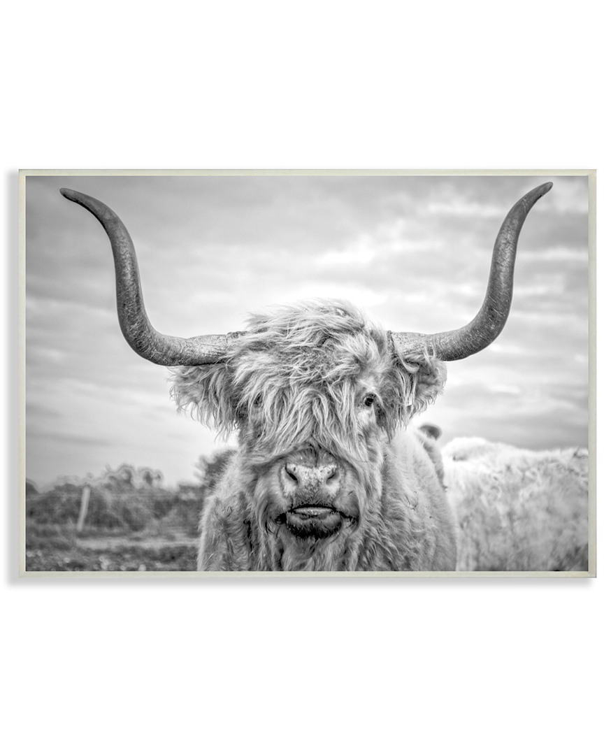 Stupell Black And White Highland Cow Photograph By Joe Reynolds