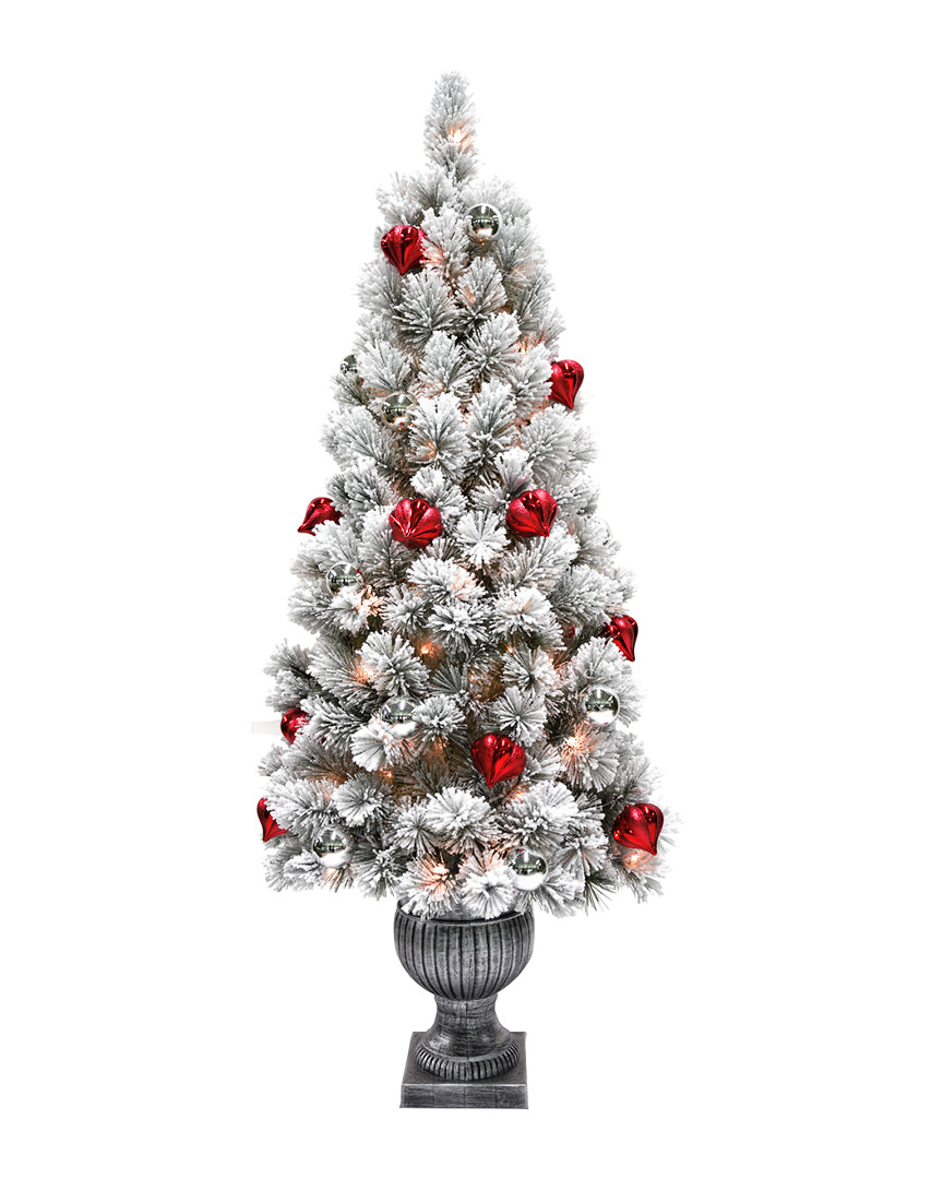 National Tree Company 5' Snowy Bristle Pine Entrance Tree