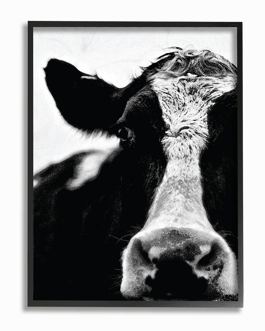 Stupell Cow Black And White Close Up By Lettered And Lined Framed Art