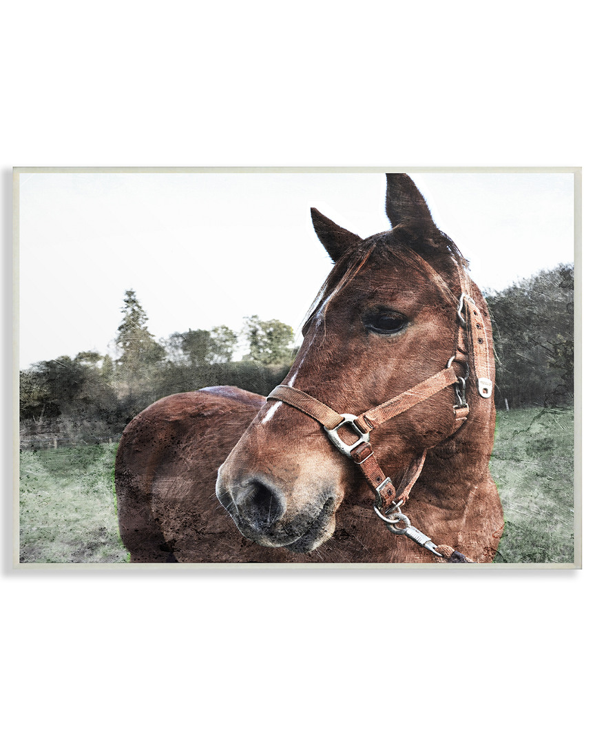Stupell Horse Posing In Field By Milli Villa