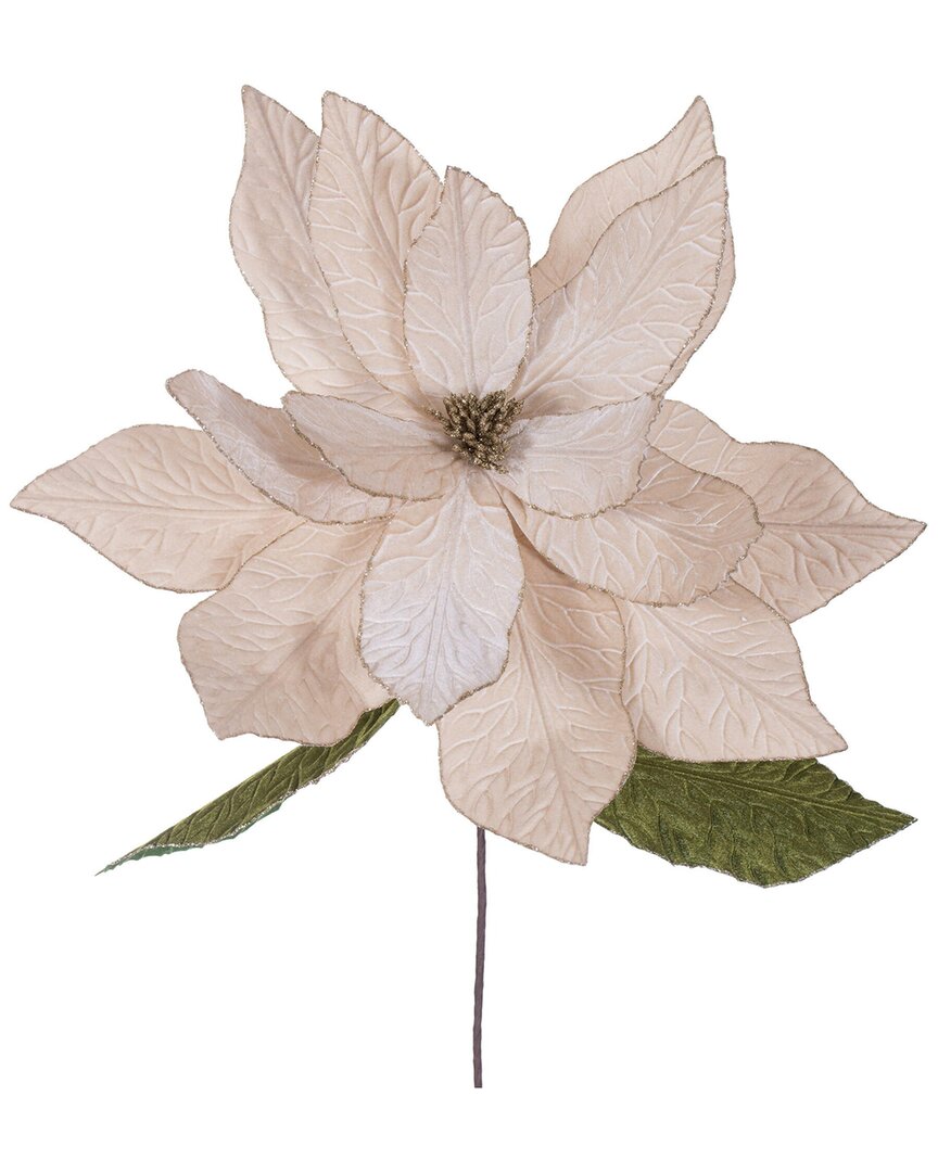 Vickerman Set Of 2 Champagne Poinsettia Stems In Neutral