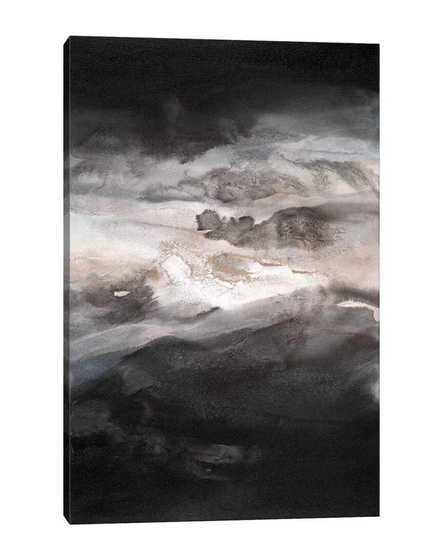Icanvas Smokey Eyes Ii By Teodora Guererra Wall Art