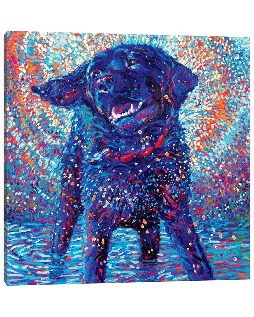 Shop Icanvas Canines & Color By Iris Scott Wall Art