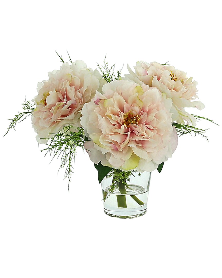 Creative Displays Modern Cream/pink Peony Floral Arrangement