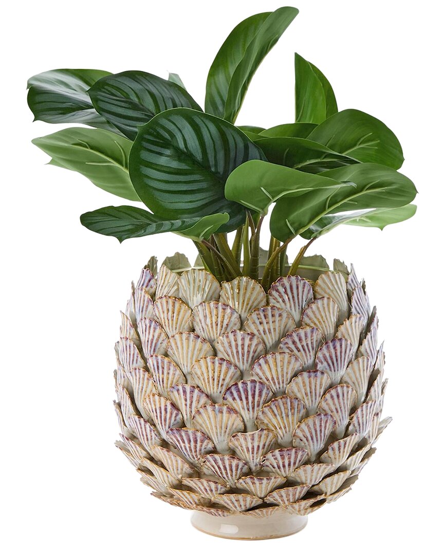 Tozai Two's Company 9.5in Fan Shell Planter In Brown