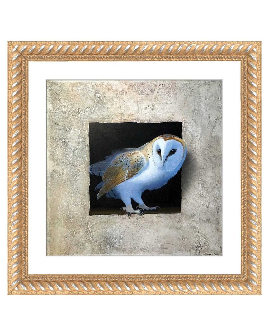 Icanvas Barn Owl I By Alan Weston Wall Art