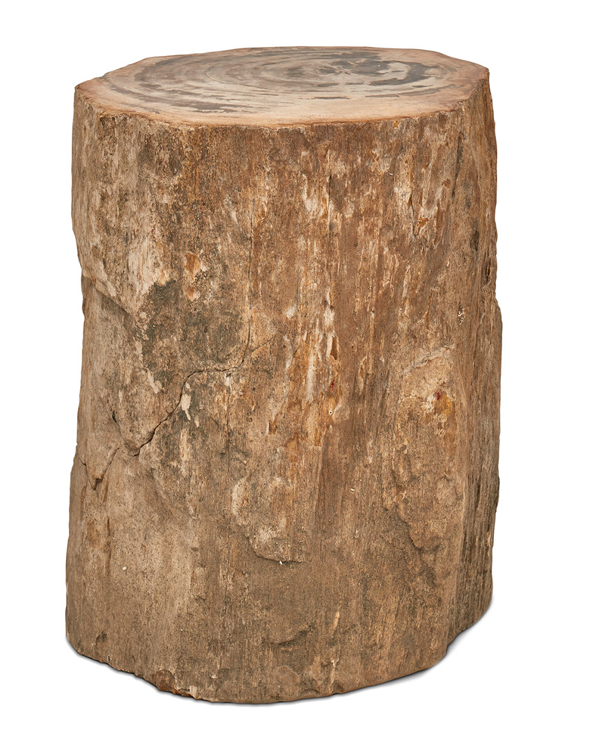 Image of Urbia Top Polished Stump