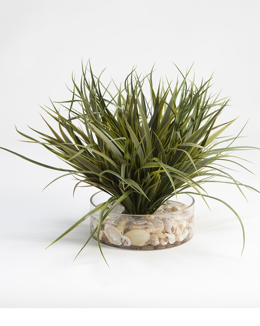 Shop D&w Silks , Inc Grass With Seashells In Glass Vase