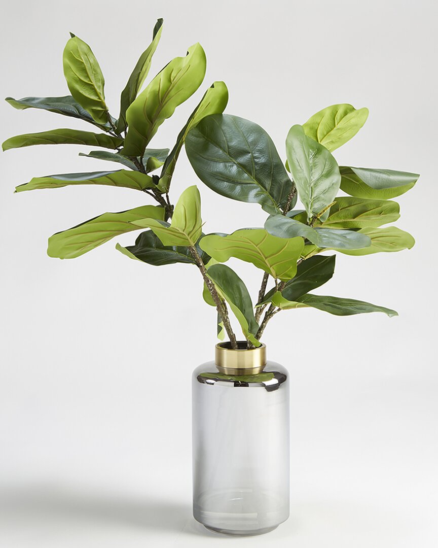 D&w Silks Fiddle Leaf Fig Branches In Tall Smoked Glass Vase With Gold Collar