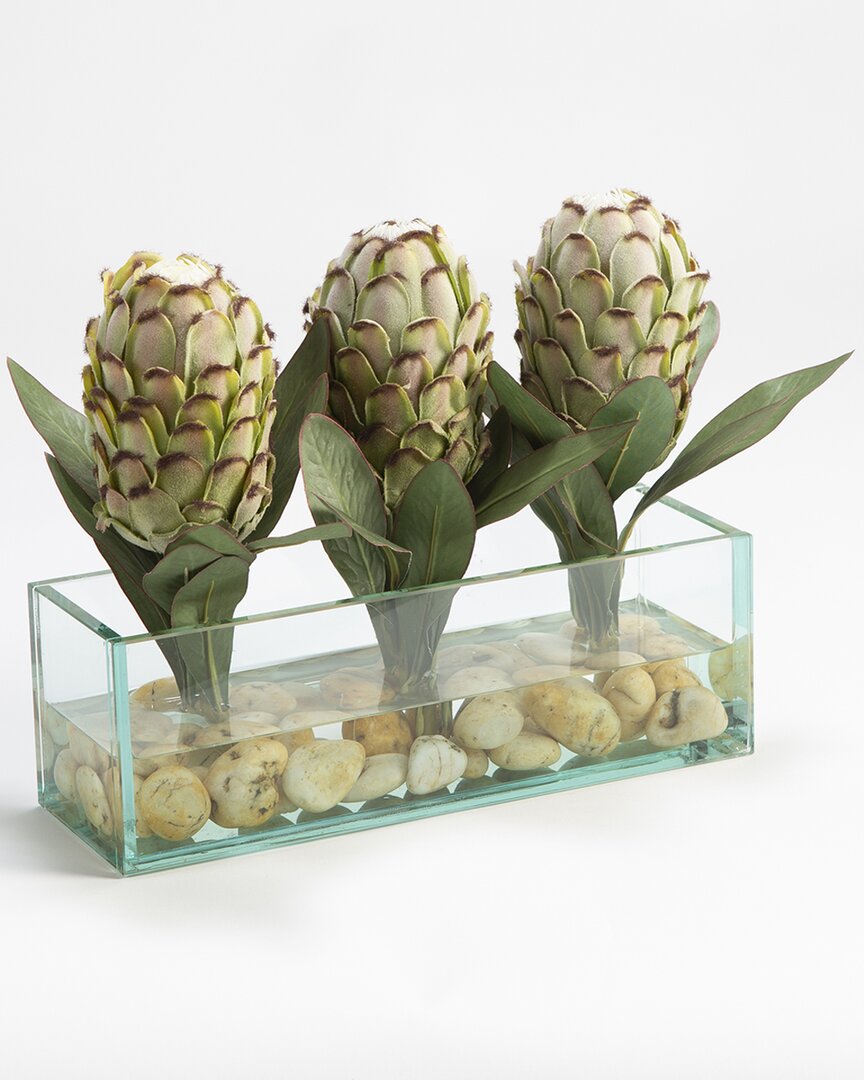D&w Silks Inc Green Proteas In Rectangle Aquarium Glass