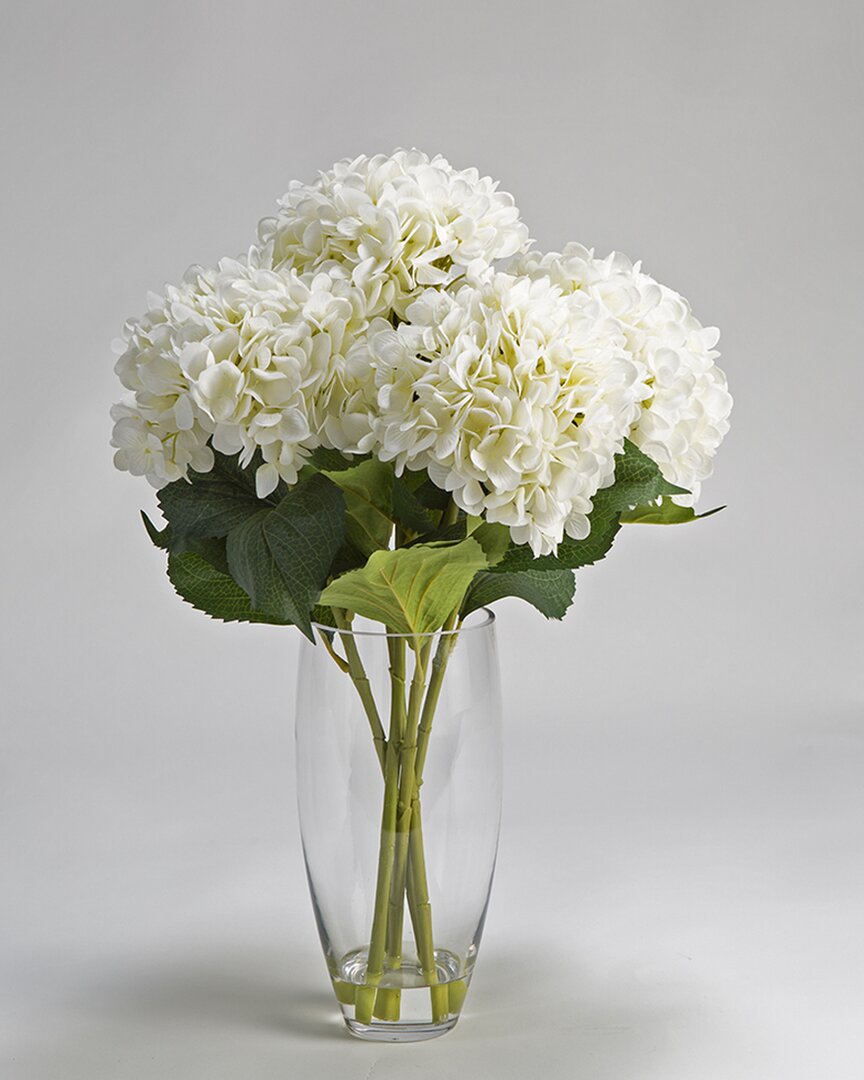 D&w Silks White Hydrangeas In Glass Vase