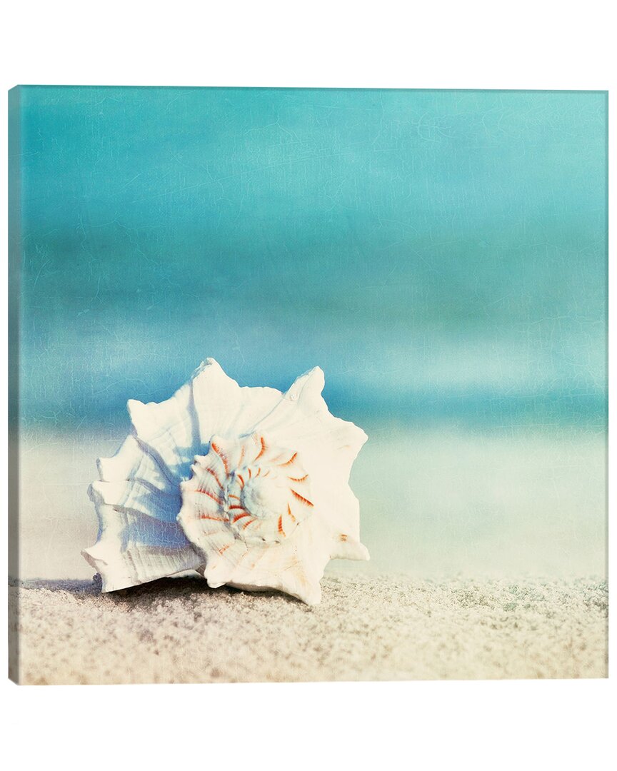 Icanvas Paradise By Carolyn Cochrane Wall Art