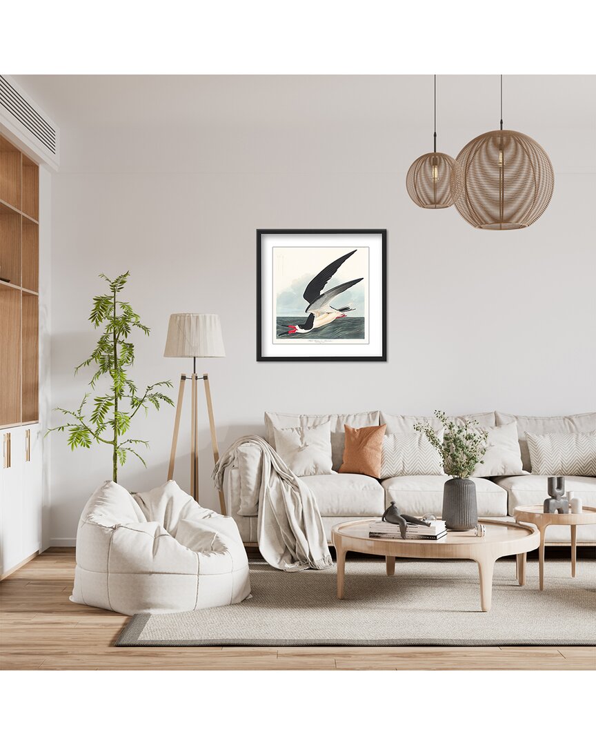 Ready2hangart Black Skimmer From Birds Of America (1827) By John James Audubon Wall Art