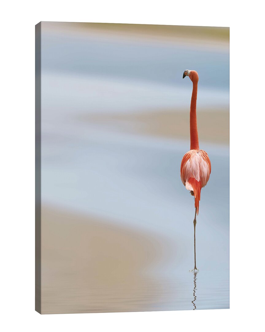 ICANVAS ICANVAS I ART PIECE BY ANNA CSERESNJES WALL ART