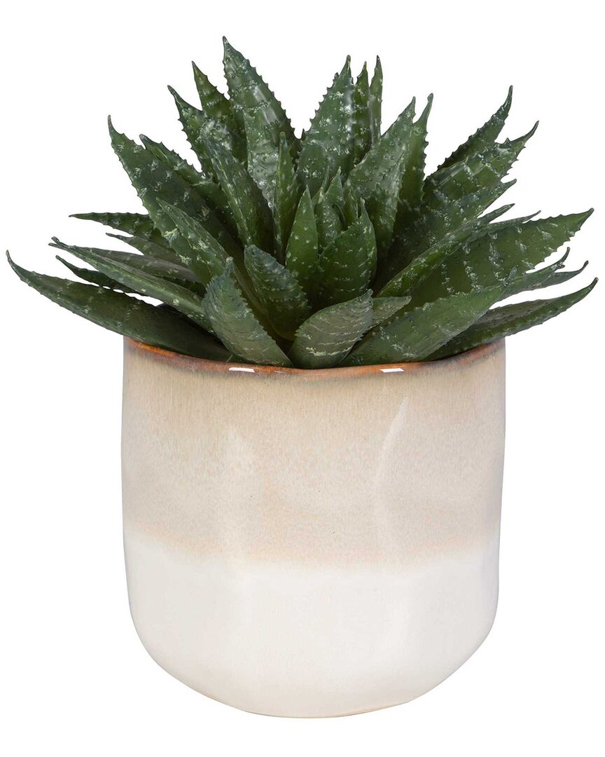 Uttermost Doha Succulent Accent In Neutral