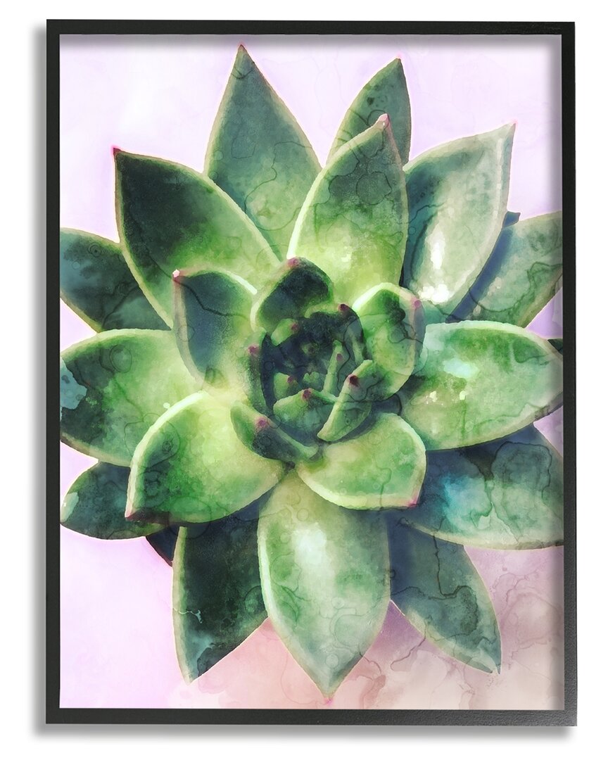 Shop Stupell Round Succulent Plant Leaves Framed Giclee Wall Art By Daphne Polselli